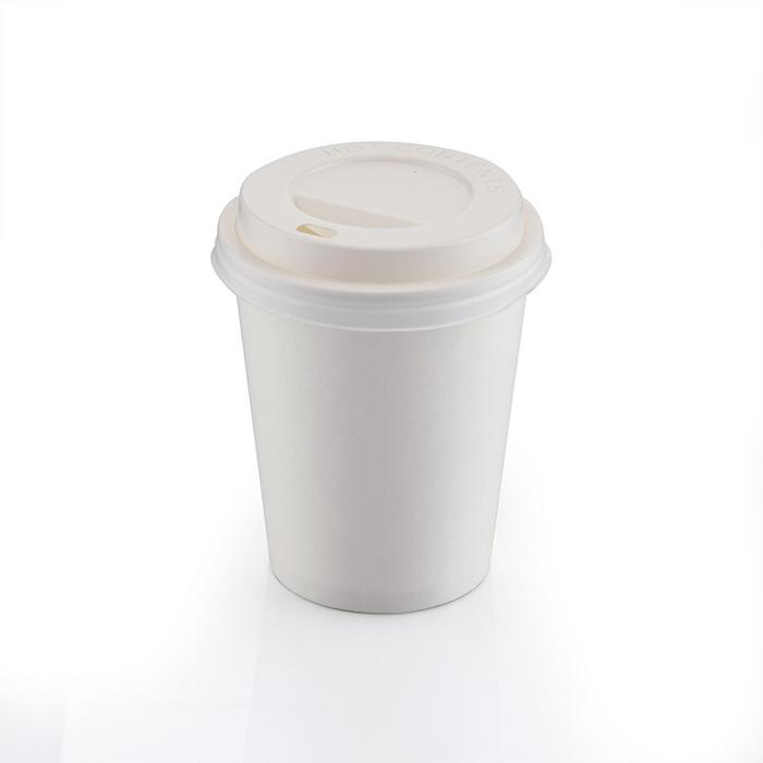 8oz Karton Bardak Beyaz 