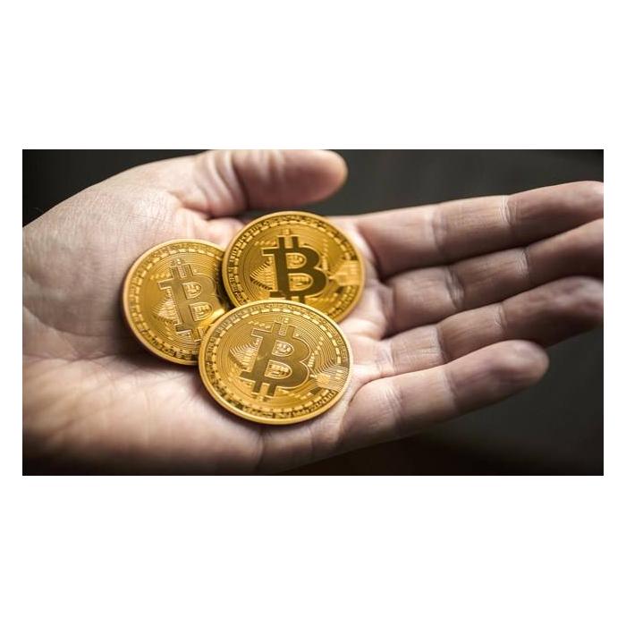 BitCoin Madeni Hediyelik Coin Sanal Para
