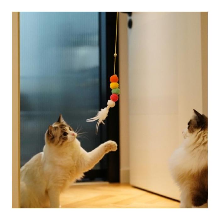 Elastik Kendinden Yapışkanlı Solucan Kedi Oltası