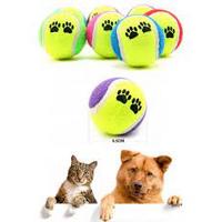Evcil Hayvan Eğitici Oyun Topu