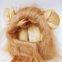 Kedi Aslan Yelesi Peruk