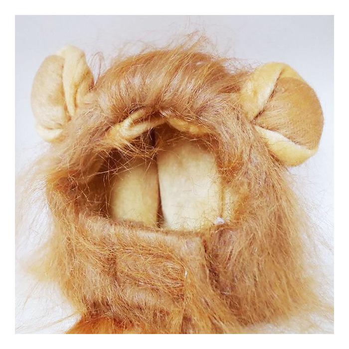 Kedi Aslan Yelesi Peruk