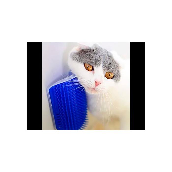 Kedi Kaşıma Masaj Fırçası Cat it