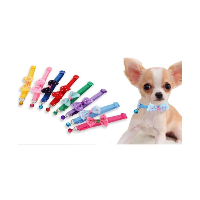 Papyon Tasarımlı Kedi Köpek Tasması