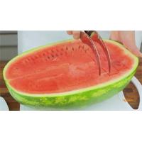 Pratik Kavun Karpuz Kesme Bıçağı