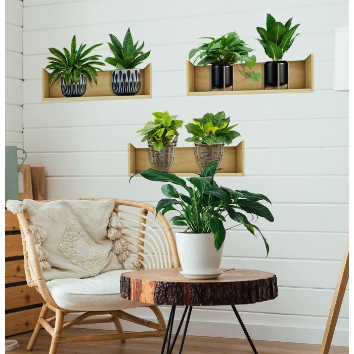 Raflı Bitki Tasarımlı Yapışkanlı Sticker 20*30 cm 3lü Set MC-663