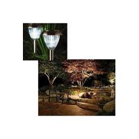 Solar Güneş Enerjili Bahçe Lambası Saplamalı