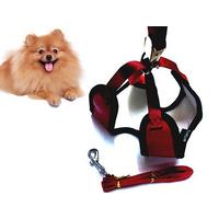 Zilli Yavru Köpek Göğüs Tasması ve Gezdirme Kayışı