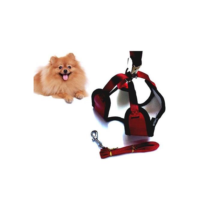 Zilli Yavru Köpek Göğüs Tasması ve Gezdirme Kayışı